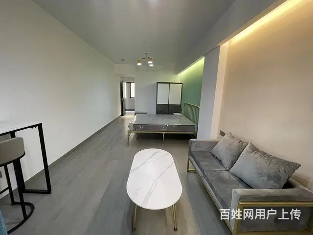城东精装修1室48.00平空房出租 - 图片 2