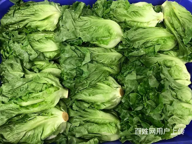 广州食堂食材配送公司，全程冷链配送，食材新鲜准时达 - 图片 3