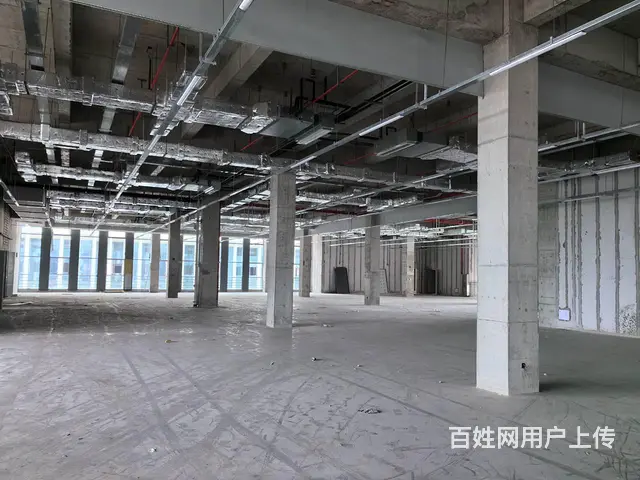4438平一楼标准化厂房出租 10元/平 0物业费 - 图片 2
