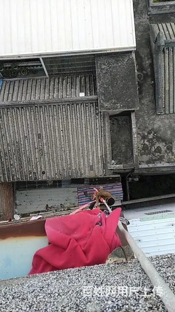 楼面防水，卫生间，地下室，阳台，外墙防水 - 图片 10