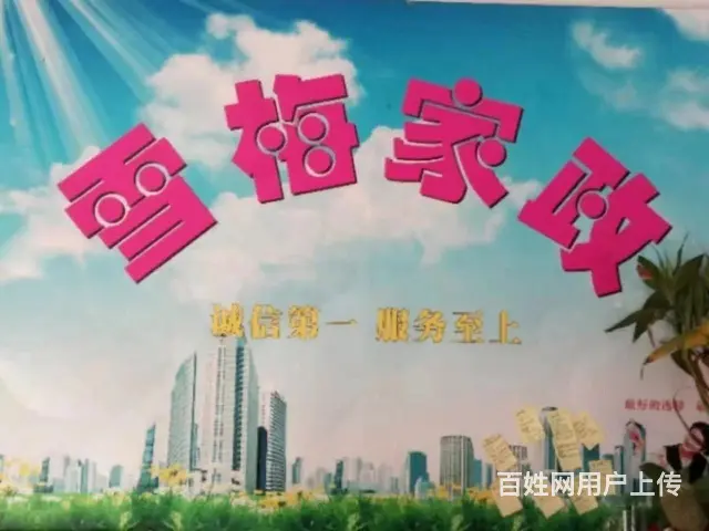 雪梅家政优秀育婴阿姨待聘 - 图片