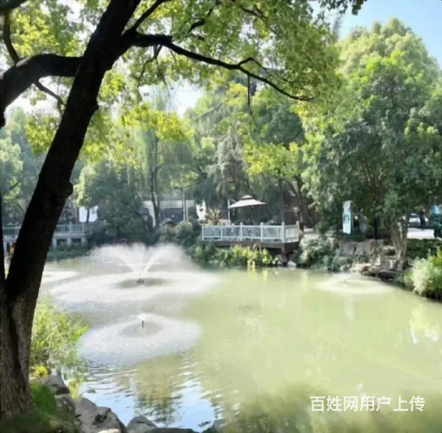 超低价笋价出租 翠苑一区 - 图片 11