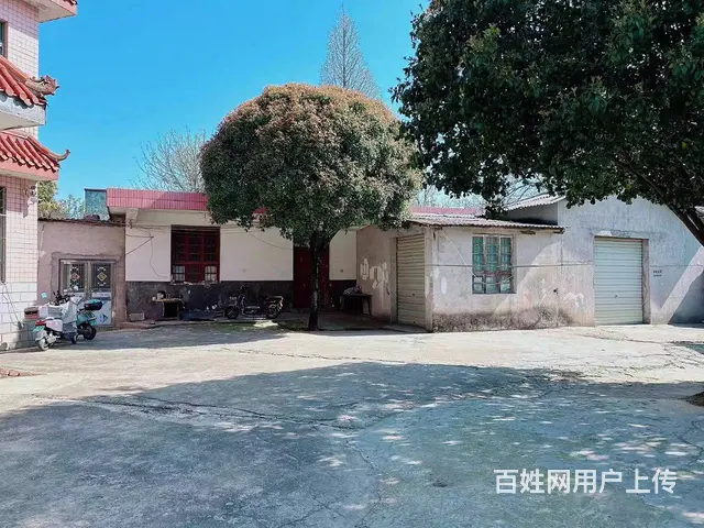 （老板本人）开福区开福大道凤羽村整栋别墅/办公楼出租6204 - 图片 4