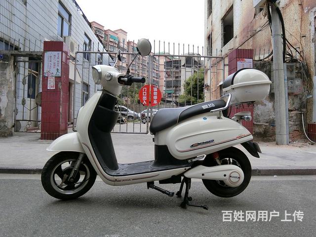 出售新到货2019年爱玛绵羊电动车,带合格证,4大电池48v