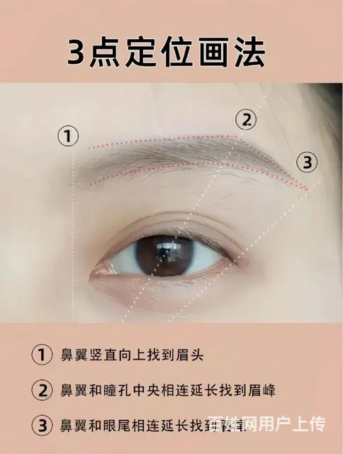 眉毛定位与画法 - 图片 1