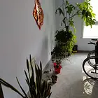 单间出租紧急出租