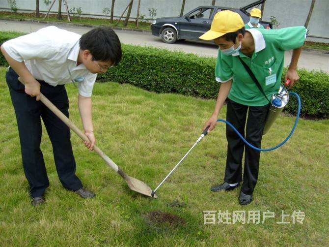 【图 南城除虫除蚁公司 图书馆灭白蚁 体育路口