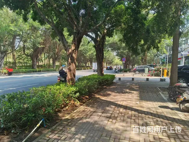（51旺铺推荐）春光路310平旺铺出租 - 图片 3