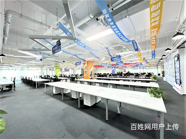 滨江独栋！科技电商AI 总部办公优选 超长免租期！定制装修！ - 图片 3