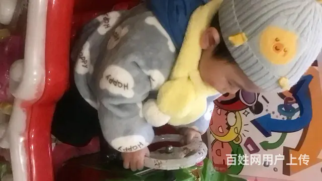 中山市训狗学校～专业训犬学校基地～训狗学校基地 - 图片 5