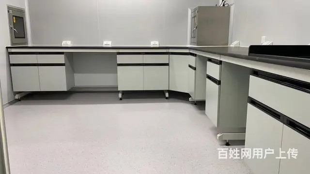 供应实验室通风柜 全钢通风橱 PP通风厨 广州实验 - 图片 2