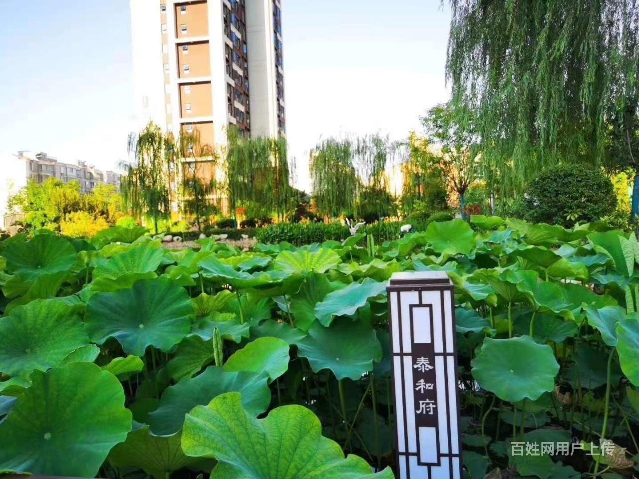 【图】- 泰和府精装" - 咸阳杨凌新房出售 - 杨凌百姓网