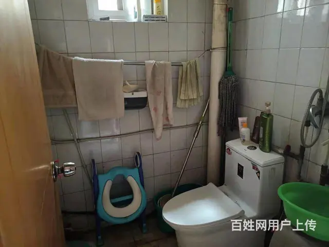 莲河小区非顶双证双气带储朝南23平可改商铺样板坡上房，可议价 - 图片 5