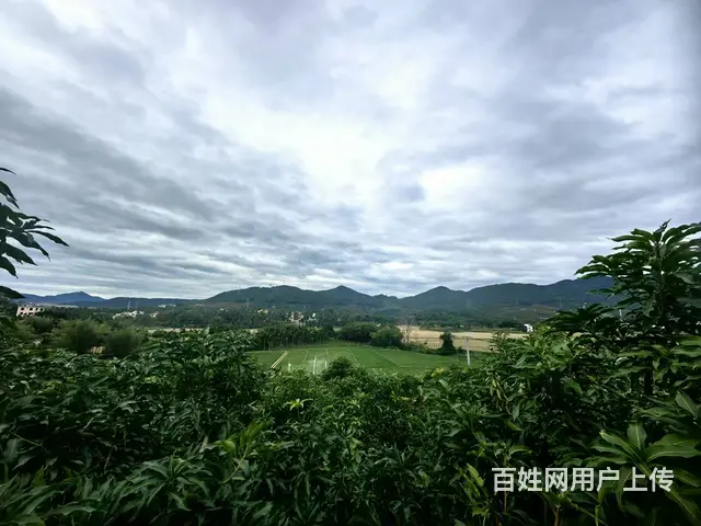 （51旺铺推荐）三亚学院旁1000平土地出租 - 图片 8