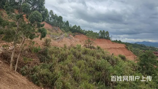 出租广东韶关曲江空地40亩 山林 可做农庄 农家乐红露营地 - 图片 2