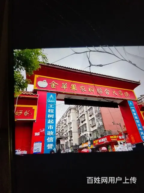 旅馆急转 - 图片 1