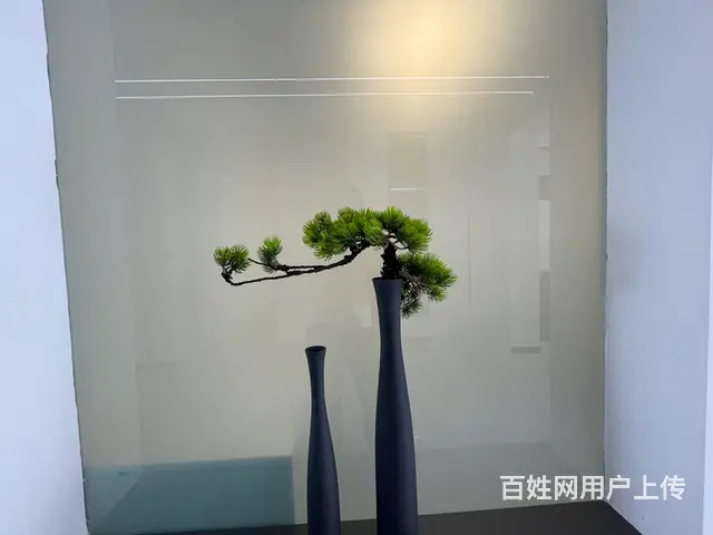 水岸华城芙蓉园，电梯洋房9楼，三室通厅，精装 - 图片 2