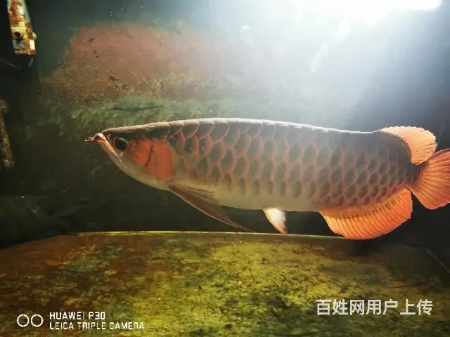 上岸！！ - 图片 1