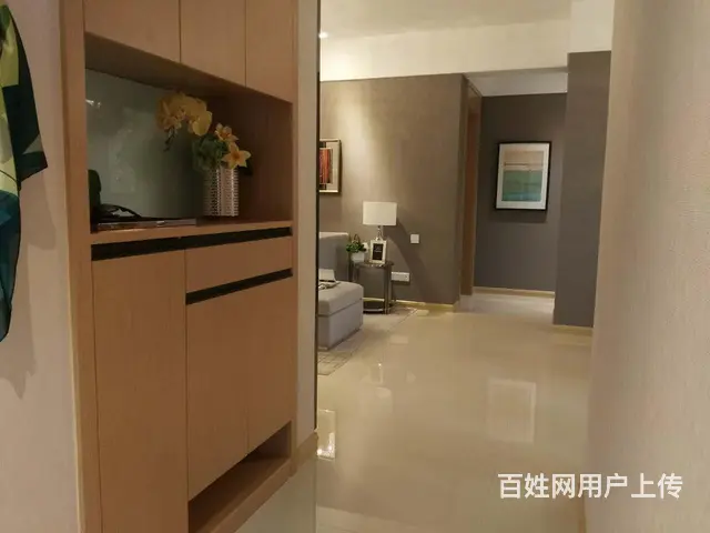 雅居乐林语城 汊河经济开发区 南京北站 宁滁轻轨 - 图片 8