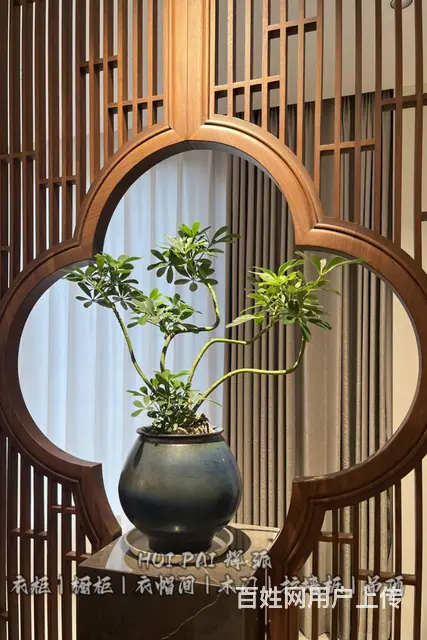 长沙整房整屋实木家具,实木衣帽间,鞋柜订做绿色建材 - 图片 6