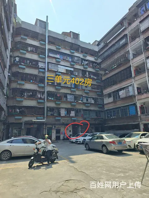 【搞定了！】东新小区 31小双学位 框架结构 小区管理 附近 - 图片 9