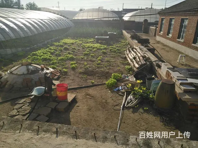 房主自己出租厂房仓库 - 图片 1