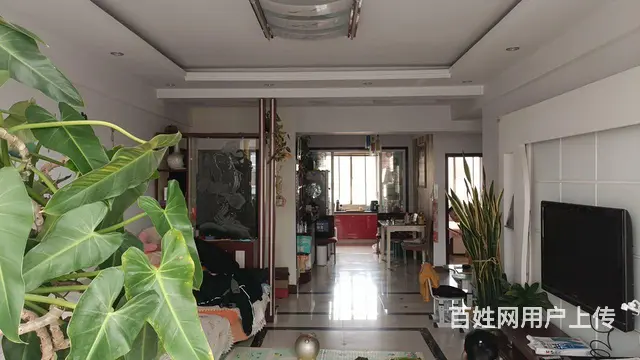 【搞定了！】距春华市场50米，吉房出租 - 图片