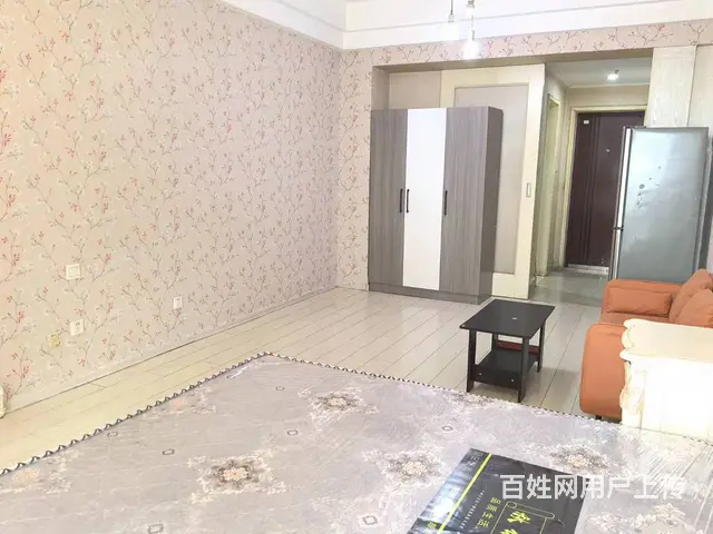 近中街大悦城，丰瑞精装公寓，1300元/月，家电全，电梯房 - 图片 5