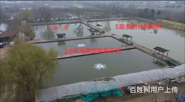 成熟人气钓场转让，有意向的到现场洽谈 - 图片 5