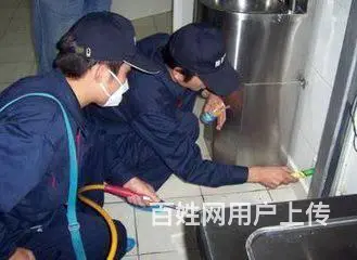 康迪虫控|专业灭鼠|杀蟑螂|除虫除蚁|上门服务 - 图片 4