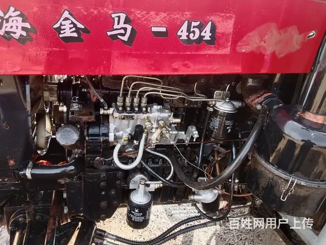 金马454 - 图片 3