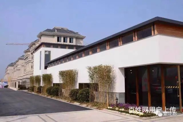 安吉繁花郡.自带商业配套.对口学区.紧邻杭安轻轨 - 图片 3