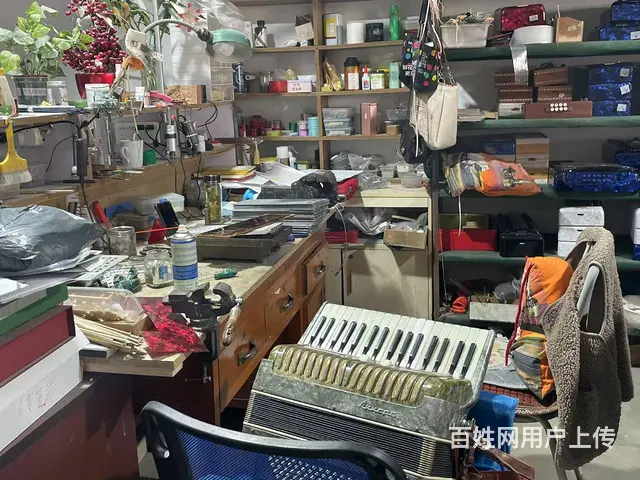 上海手风琴急修！ - 图片 4