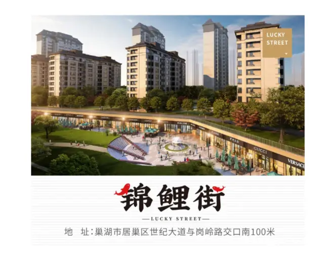 出租巢湖  新华地产  沿街店铺 - 图片 3