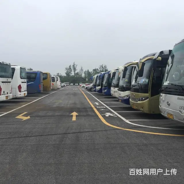 苏州大春汽车服务有限公司、专业承接外企员工上下班 - 图片 8