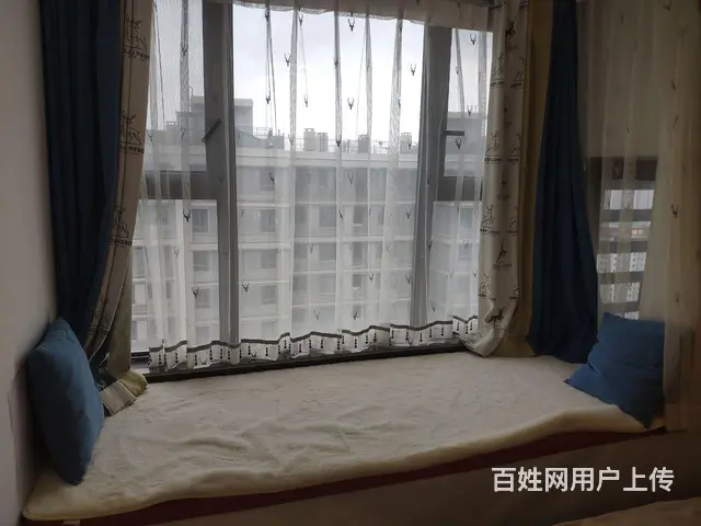 绿城百合精装修公寓出租 - 图片 5