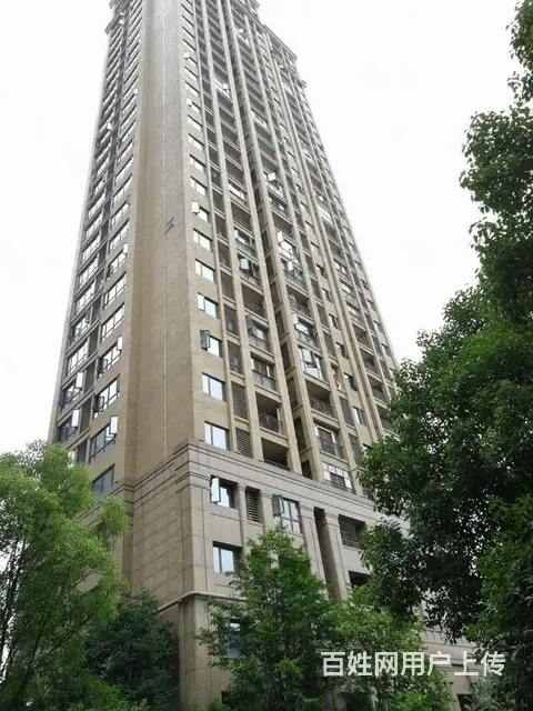 接待 办共 绿地  缤纷城 万象城 国际金融城 - 图片 12