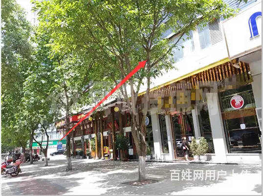 （同城搜铺网）西外金龙大道650平旺铺出租 - 图片 3
