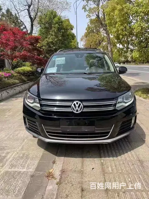 大众 途观 2013款 1.8TSI 手自一体 四驱豪华版 - 图片 10
