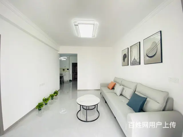 园林路地铁口 金地广场 徐东 大洲星城房东自住三房 - 图片 3
