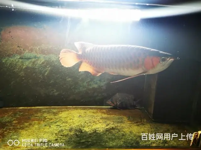 上岸！！ - 图片 4