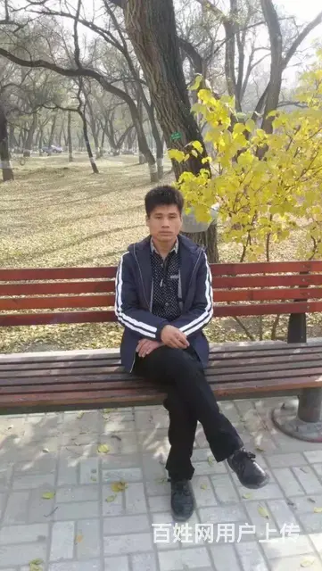 真心征婚 - 图片