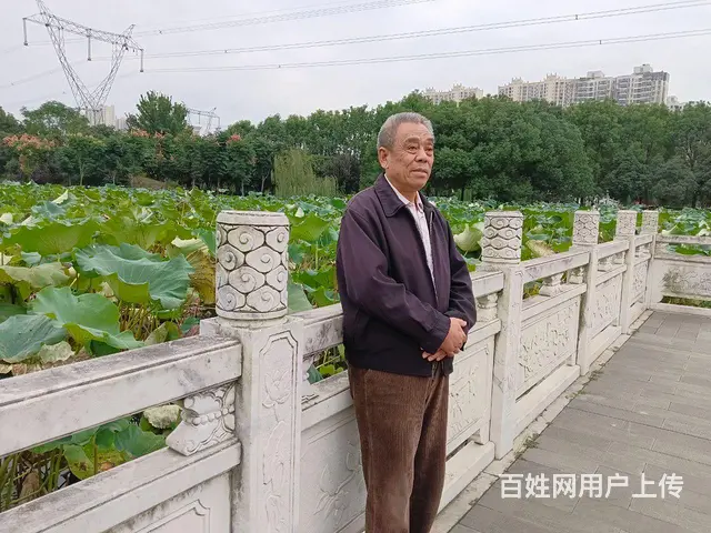 退休男士寻女伴 - 图片