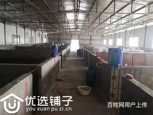 （优选铺子）巴州区曾口镇2200平养殖3万出租（可出售） - 图片 8