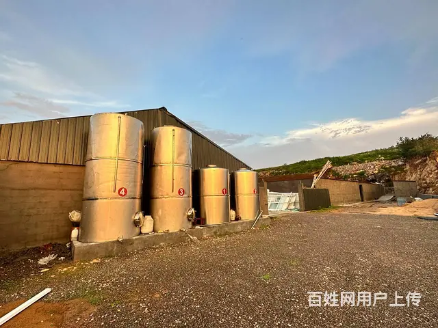 白酒厂厂房出租手续齐全 - 图片 7