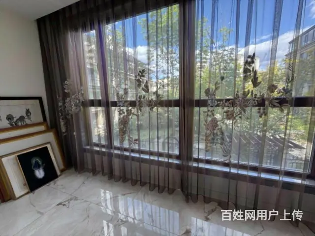 观复国际平墅 全新未住 带两层地下 带花园 私家电梯 带车位 - 图片 10