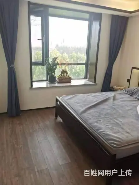 356春秋嘉苑中装全家具家电1楼大户 - 图片 6