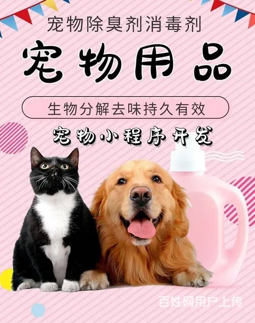 宠物接单小程序开发|宠物店小程序分销系统方案 - 图片 1