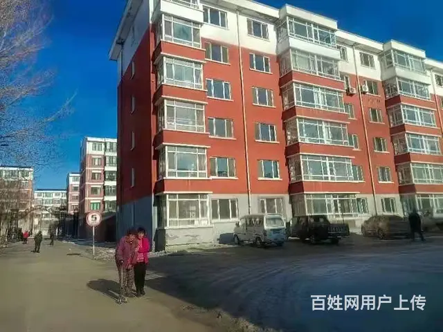 江滨农场物质楼 普通住宅 毛坯房 - 图片 6