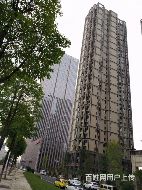 岳家嘴  正堂时代 中治南方 德成国贸 徐东 金禾 - 图片 10